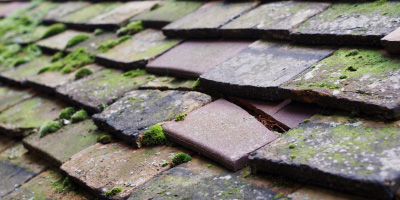 Bodicote roof repair costs